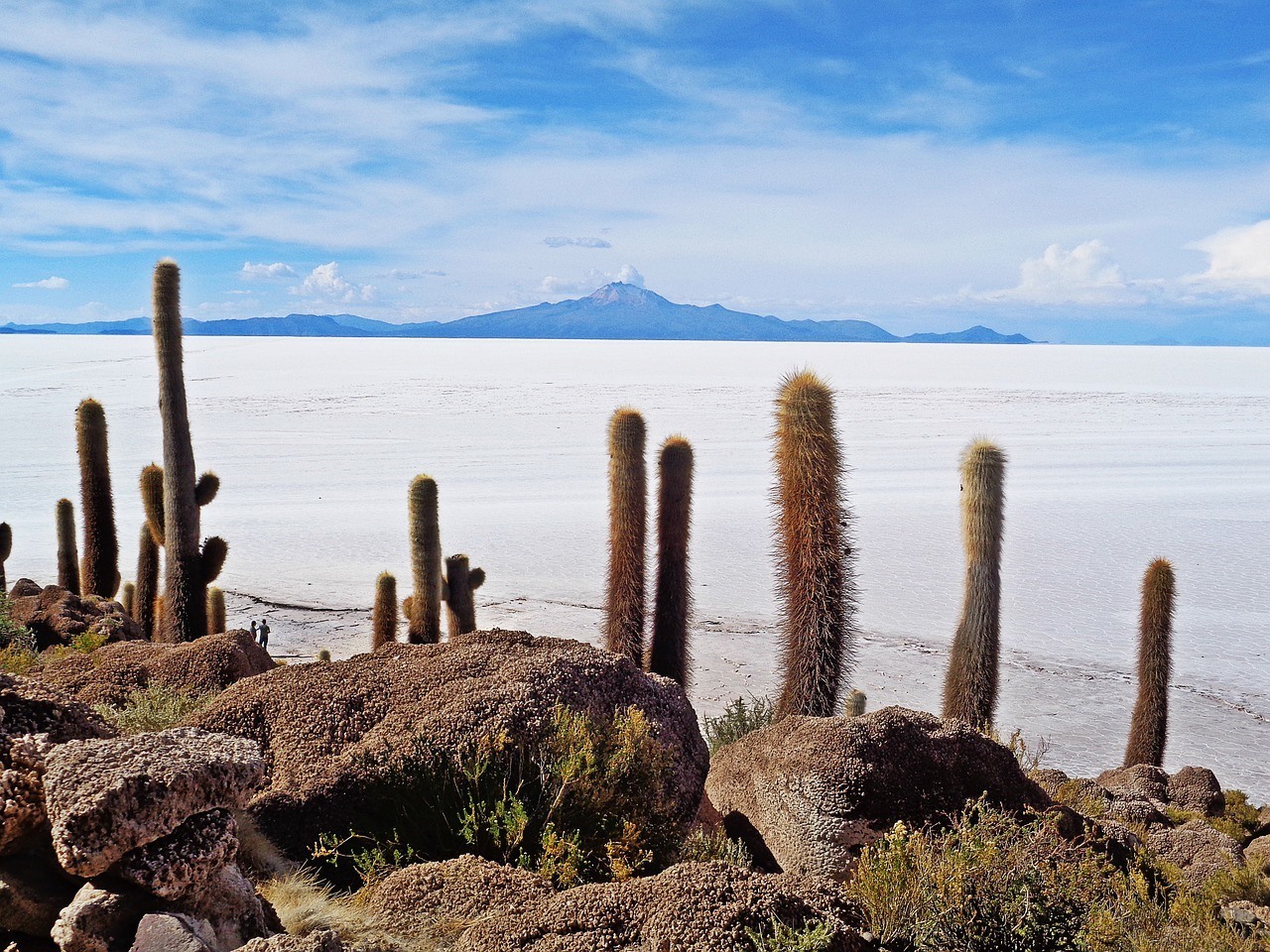 Best Hostels in Uyuni