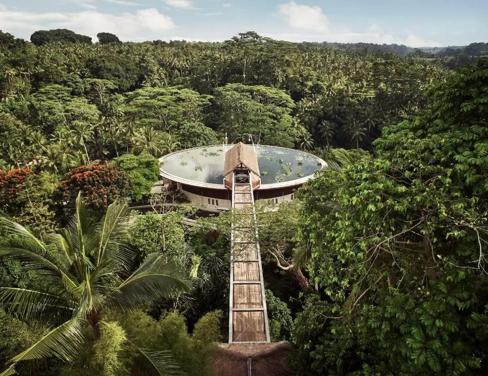 A retreat in the jungle of bali