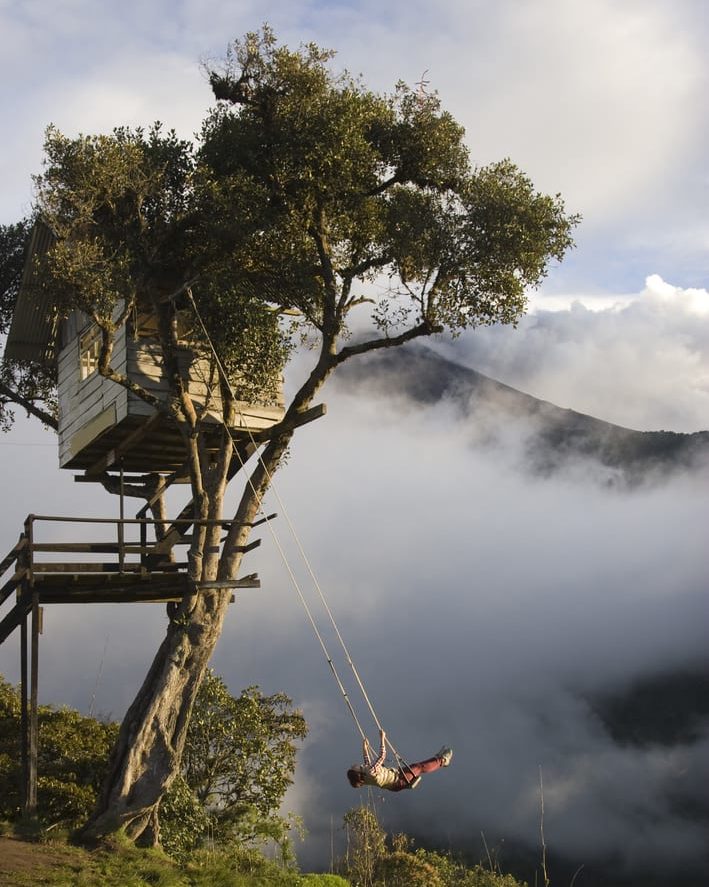guy swinging in the jungle in ecuador