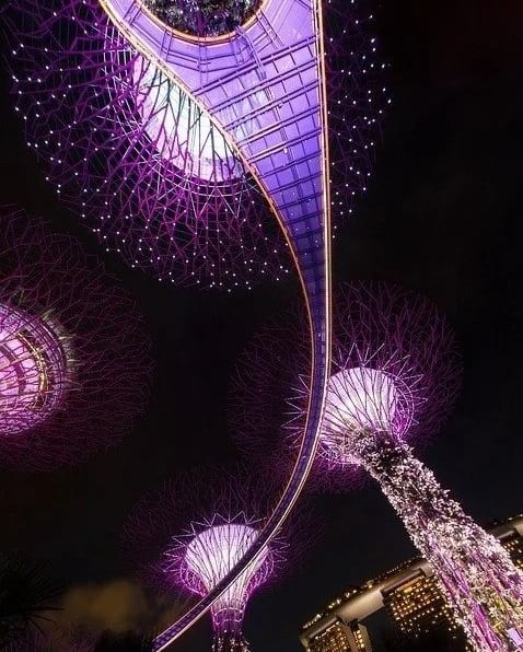 singapore gardens by the bay night