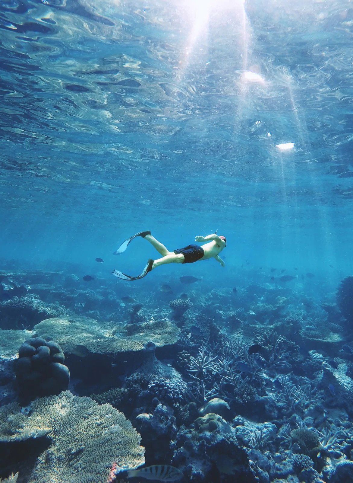 Snorkeling in oceania